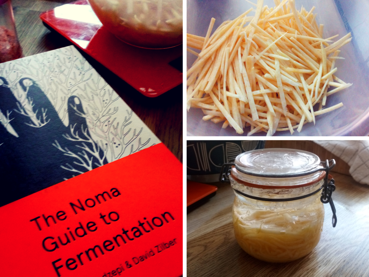 Lacto Fermentation